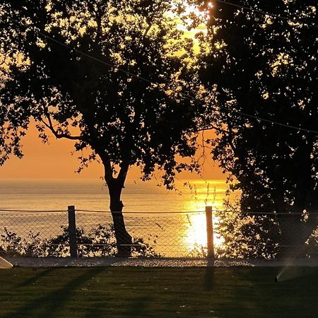 Relais Il Giardino Fra Gli Ulivi Villa Torino di Sangro Eksteriør bilde