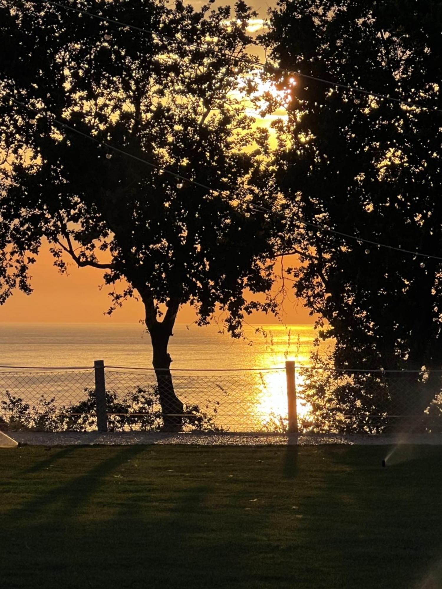 Relais Il Giardino Fra Gli Ulivi Villa Torino di Sangro Eksteriør bilde