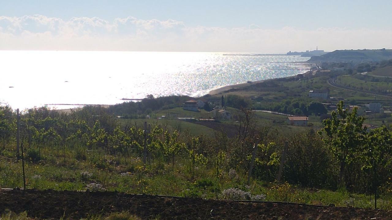 Relais Il Giardino Fra Gli Ulivi Villa Torino di Sangro Eksteriør bilde