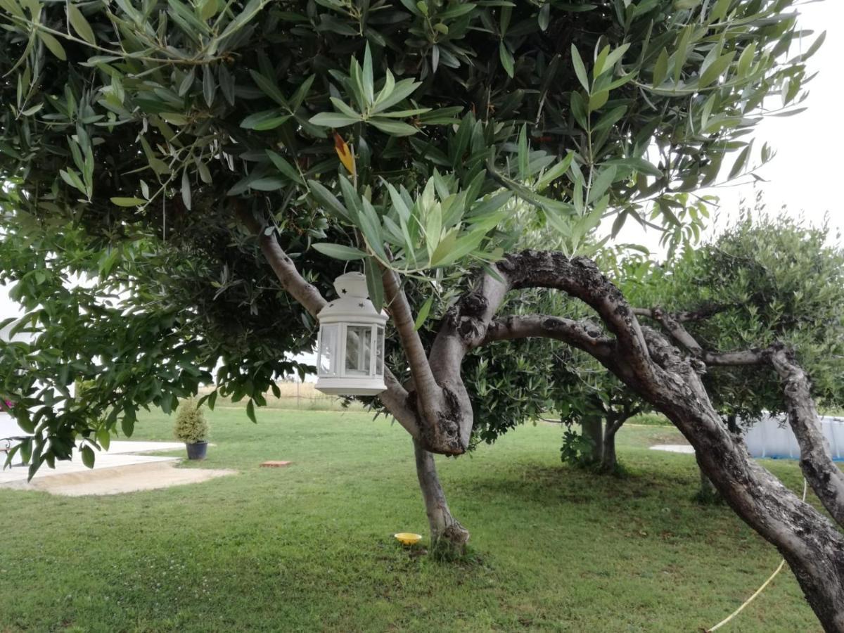 Relais Il Giardino Fra Gli Ulivi Villa Torino di Sangro Eksteriør bilde